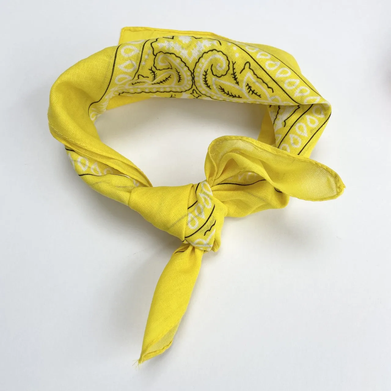 Bright Paisley Cotton Scarves